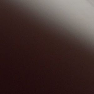 Meet your Posher, Rodrick